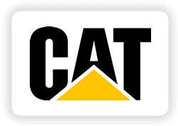 Caterpillar